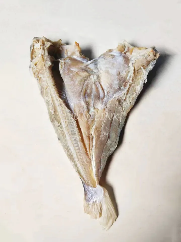 IKAN MASIN DURI